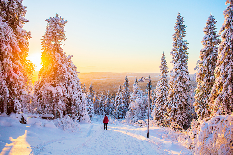 Медкомиссия для работы на Крайнем Севере, фото